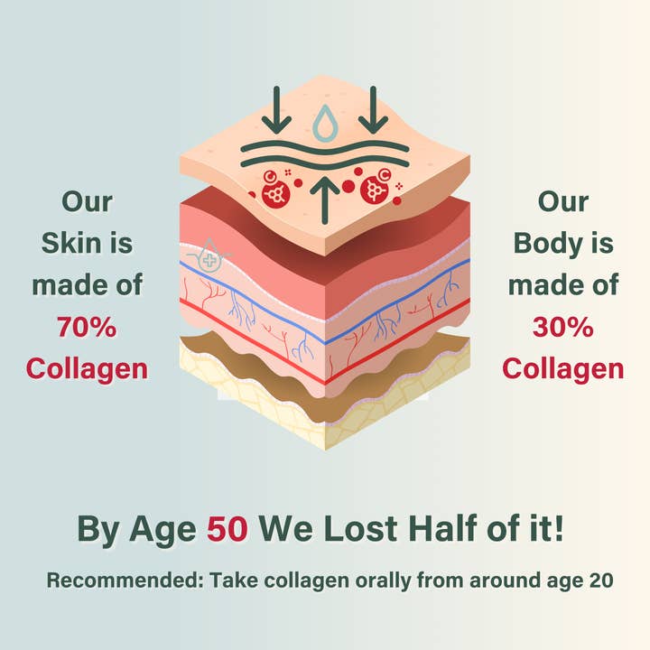 Nutri Beauties – wholesale Oral supplement/vitamin – Nutri Beauties 6-in-1 Hydrolysed Marine Collagen 10,000Mg11