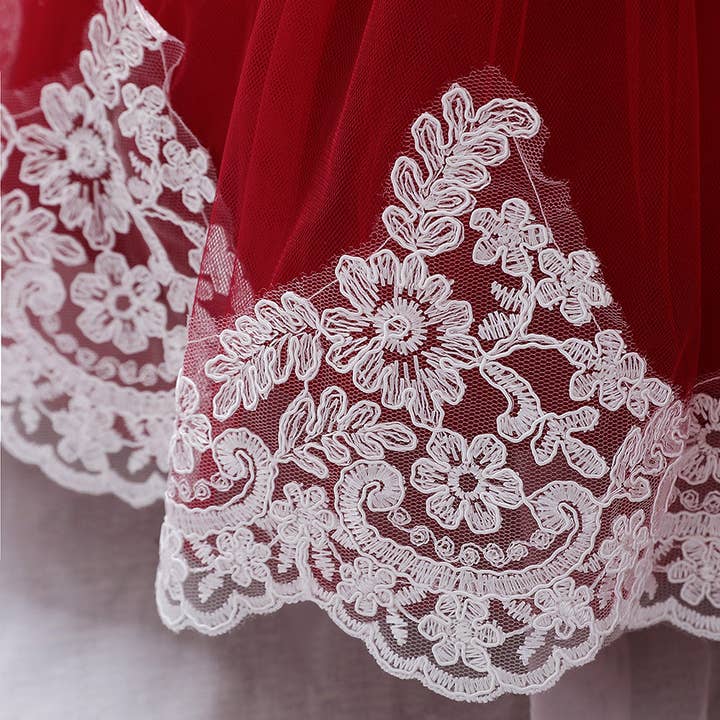 MyKids-USA® - Wholesale Dress - Baby - Baby Girl Bow Patched Design Long Sleeves Full Moon Christening Mesh Formal Dress1