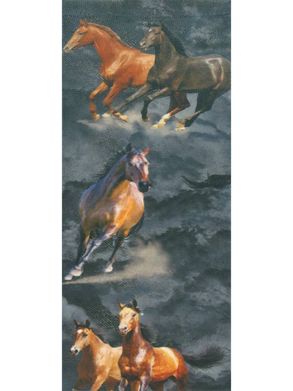 Sox Trot - Wholesale Socks - Women's - Equine Nights (New) Knee Highs1