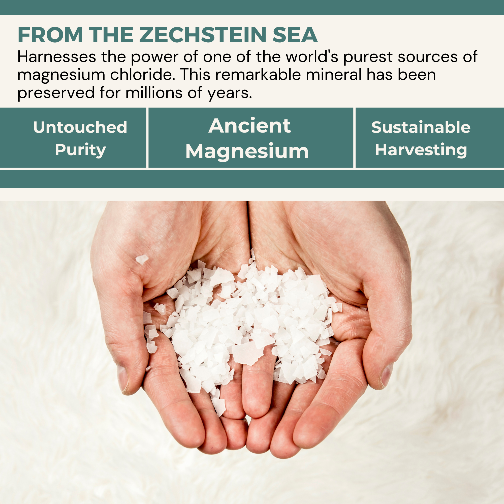 Healthy Energy Amazing Life - Vente Crème/lotion pour le corps - LOTION À LA LAVANDE ÖSIMAGNÉSIUM Good Night + mélatonine 3,38 oz1