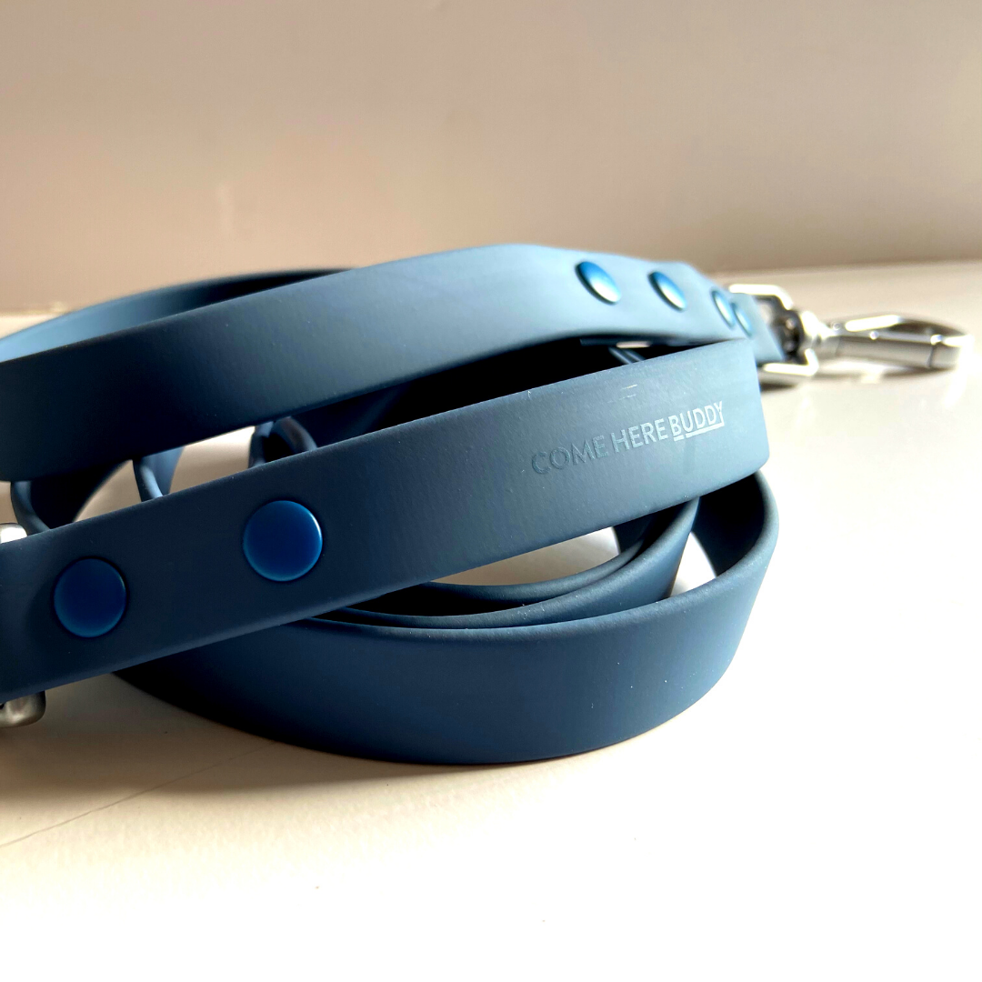 Come Here Buddy - Wholesale Pet Leash - Dog - Dog Leash10