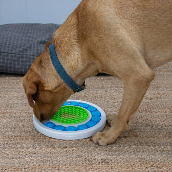 Ancol Pet Products Ltd – wholesale Leksak - Hund – ÖRVA Pusselring
