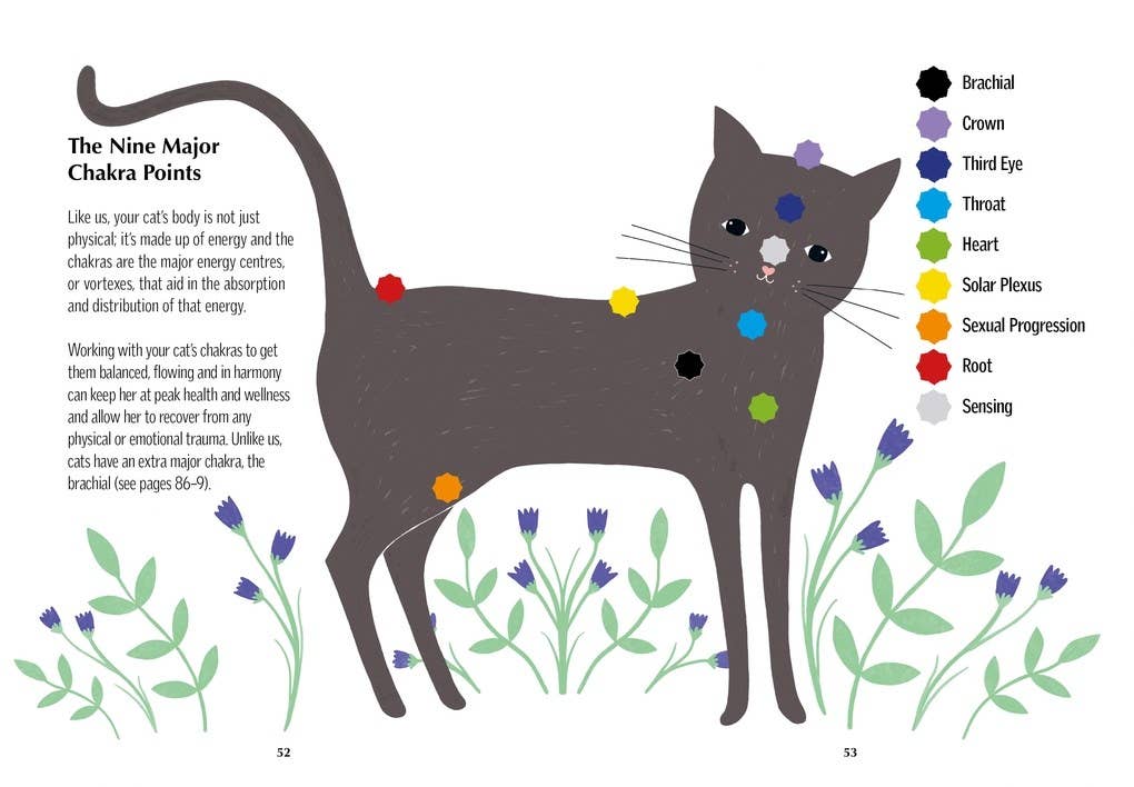 Texas Bookman - Wholesale Pets - Chakra Healing For Cats (Chakra Healing for Pets #1)2