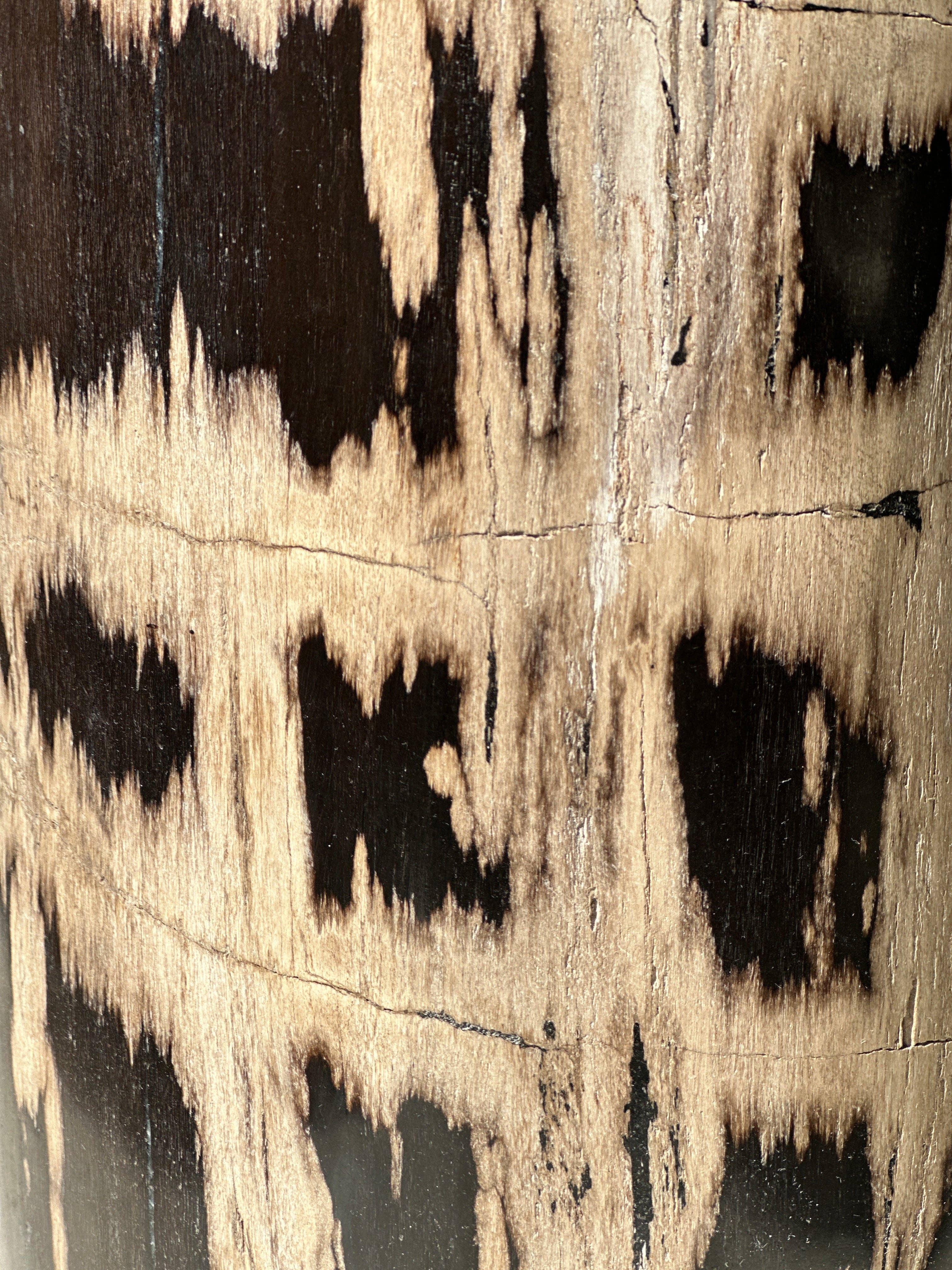 Office Objets - Vente Tables d'appoint - Table d'appoint en bois pétrifié36