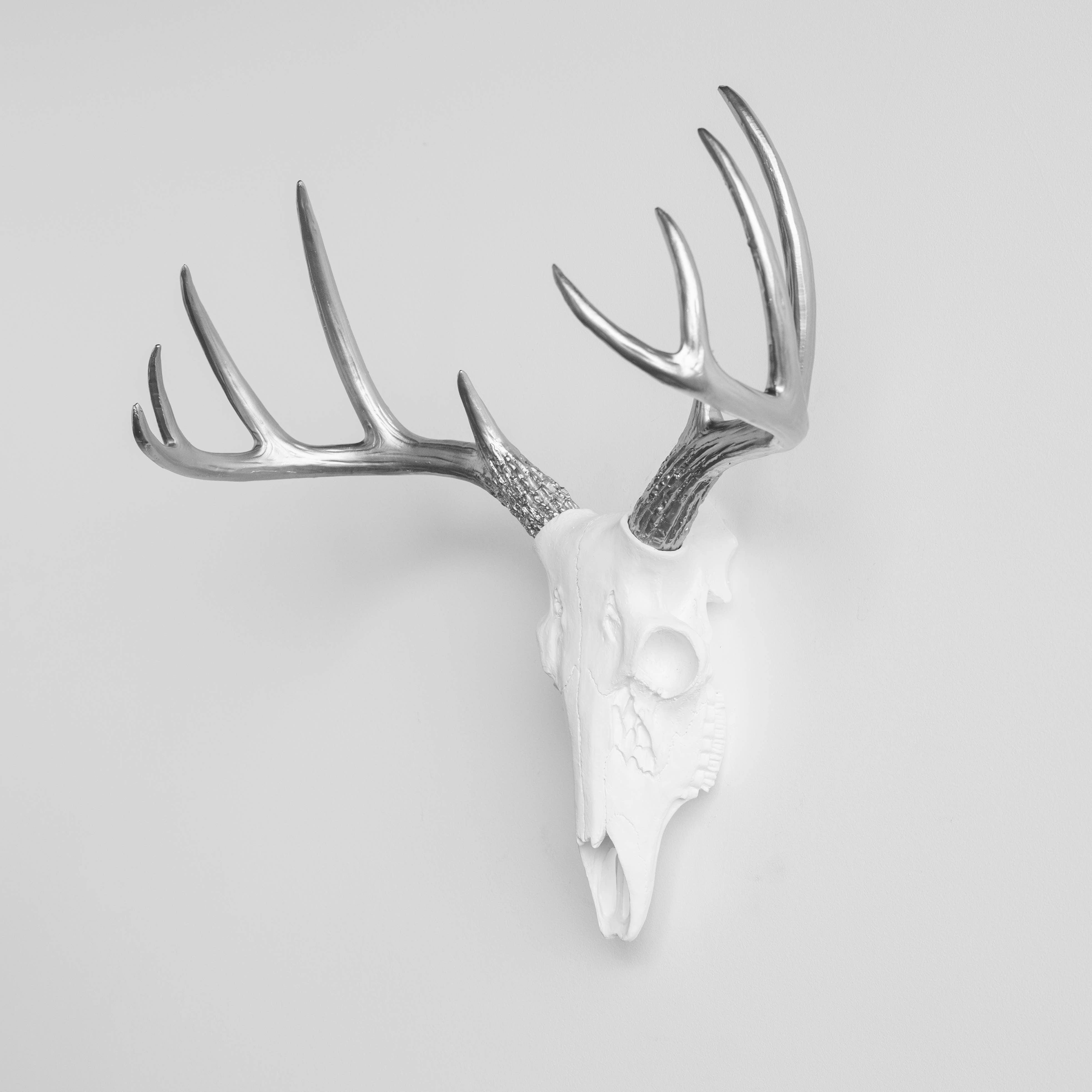 Near and Deer - Wholesale Dimensionele/3D-muurkunst - Faux Mini Buck Skull muursteun9