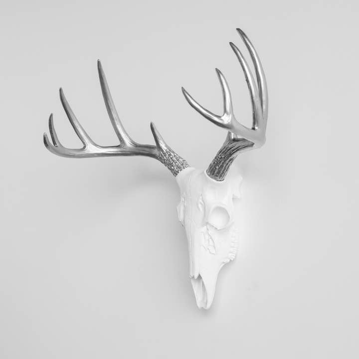 Near and Deer - Wholesale Wall Accent - Faux Mini Buck Skull Wall Mount19