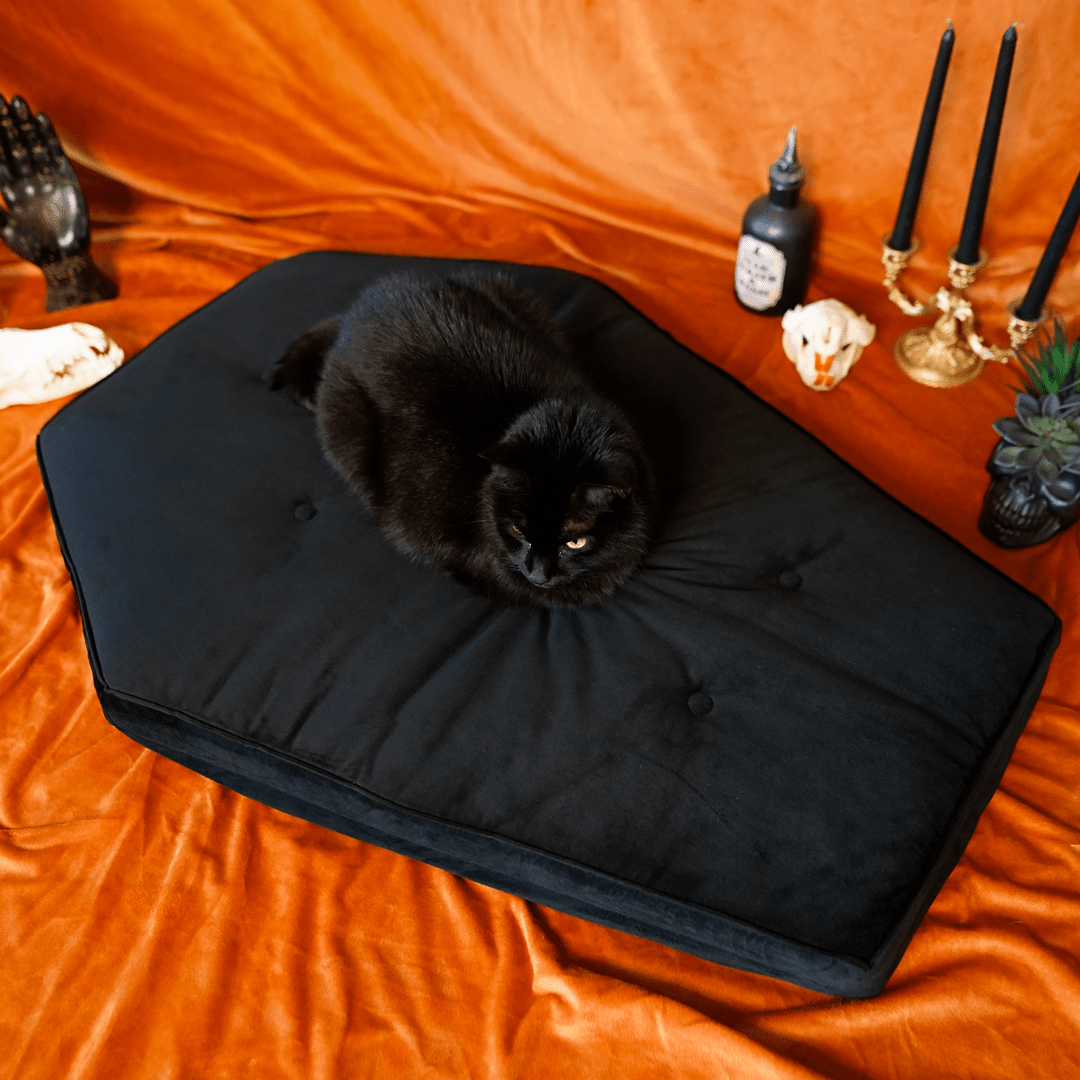 Goth Cloth Co. – wholesale Pet bed – Cat/dog – Critter Coffin - Coffin Shaped Memory Foam Pet Bed for Dogs & Cats7