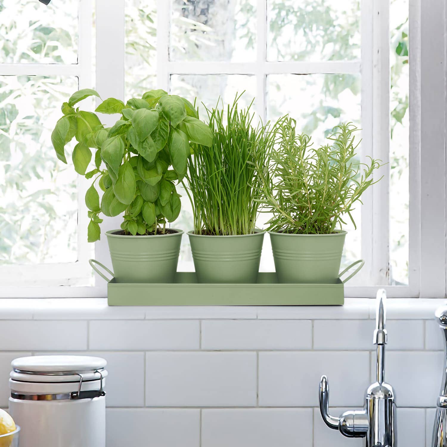 Wholesale Gifts Tomorrow – wholesale Plant pot – Set of 3 Metal Herb/Plant Pots with Drip Tray (Sage Green)6