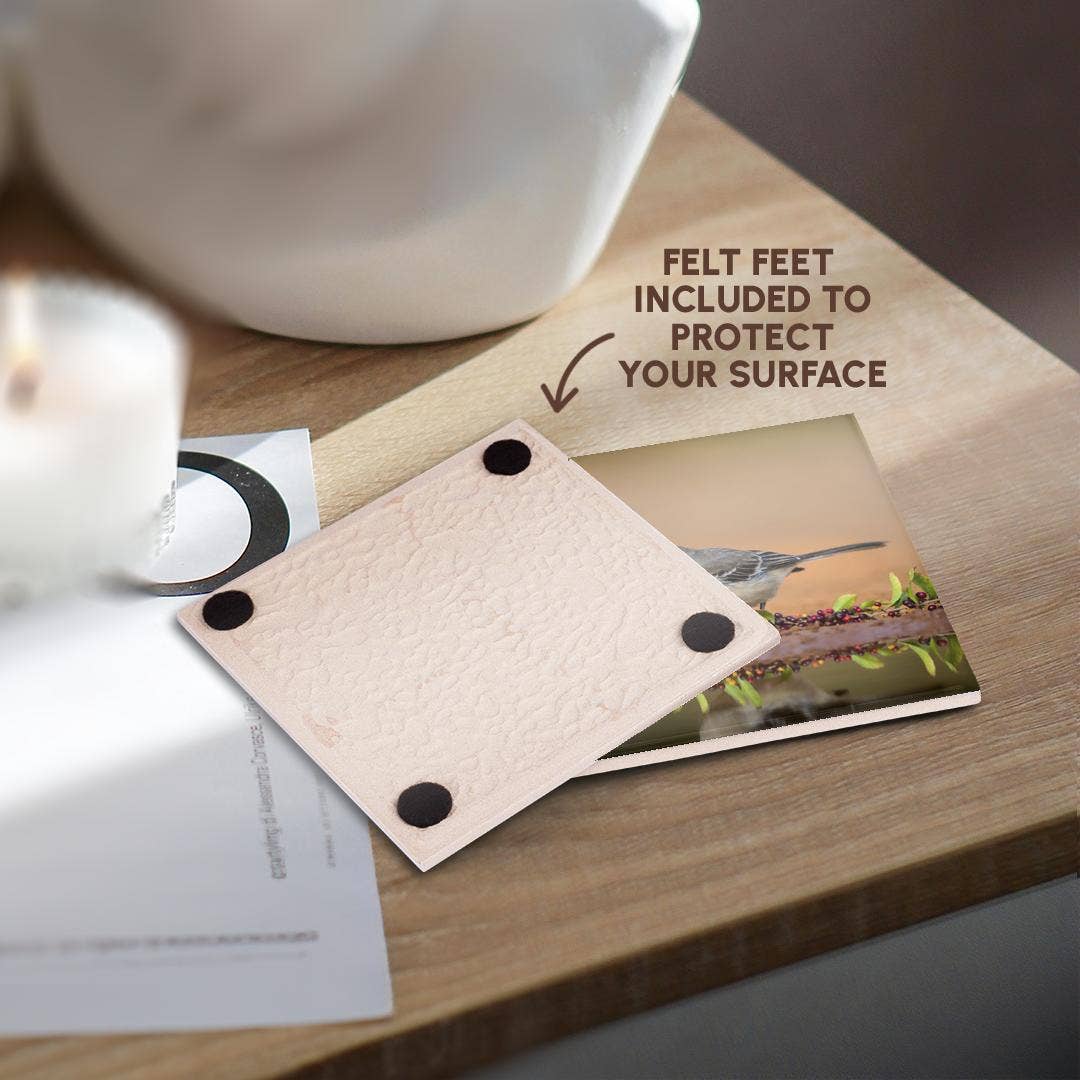 3dRose - Wholesale Coasters - 3dRose, Northern mockingbird, Mimus polyglottos feeding., Coaster3