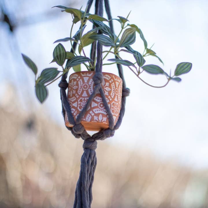 Freeleaf - Wholesale Hanging Planter - Mini Flourish Plant Hanger2