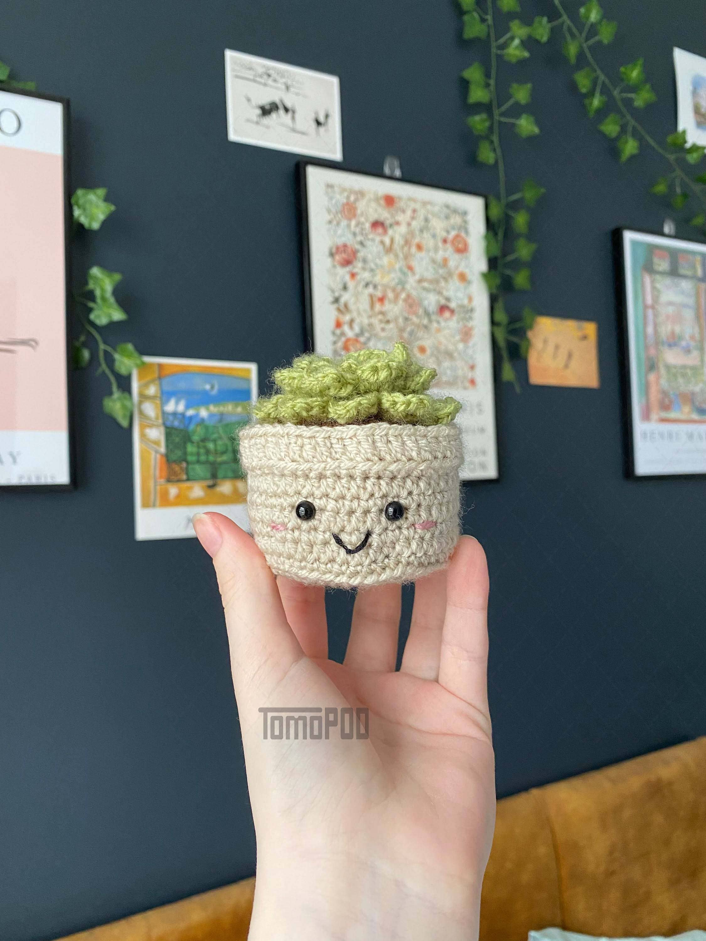 TOMOPOD LLC – wholesale Decorative tabletop object – Crochet Succulent Plant, Amigurumi Plant, Office Desk Decor1