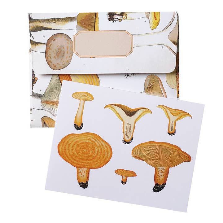 Artistry Cards - Wholesale Stationery/Notecard Set - Boxed Set of 8 Vintage Mushroom Greeting Cards3