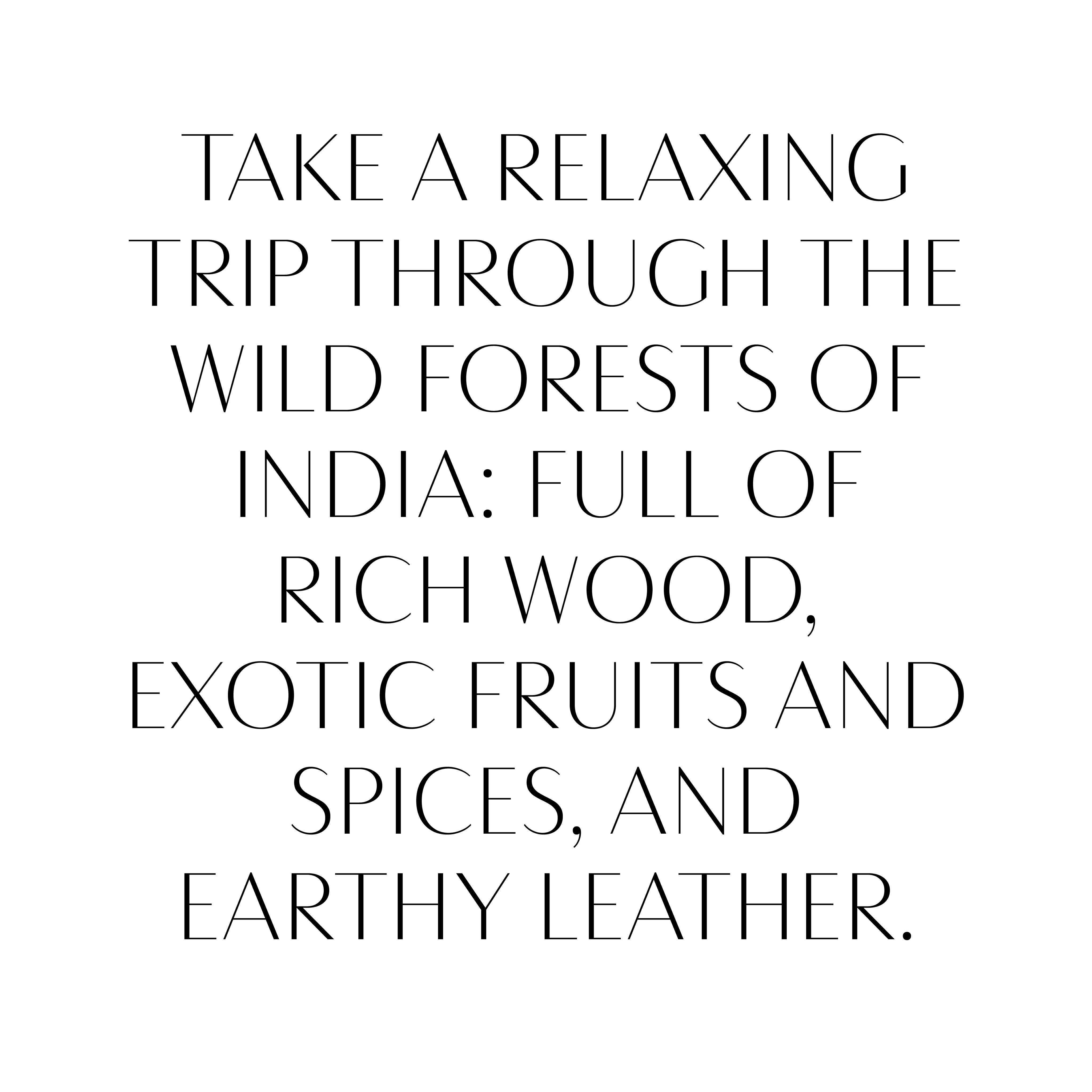 Scent New York - Wholesale Fragrance Oil - Santal & Spice2