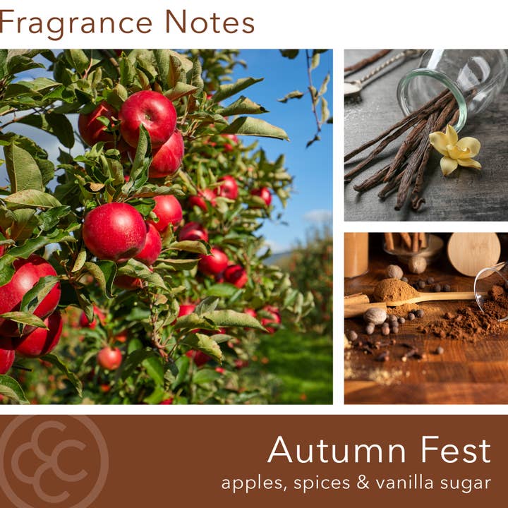 MVP Group International INC - Wholesale Jar/Filled Candle - M Baker Autumn Fest Scented Jar Candle, Soy Blend, 14 oz2