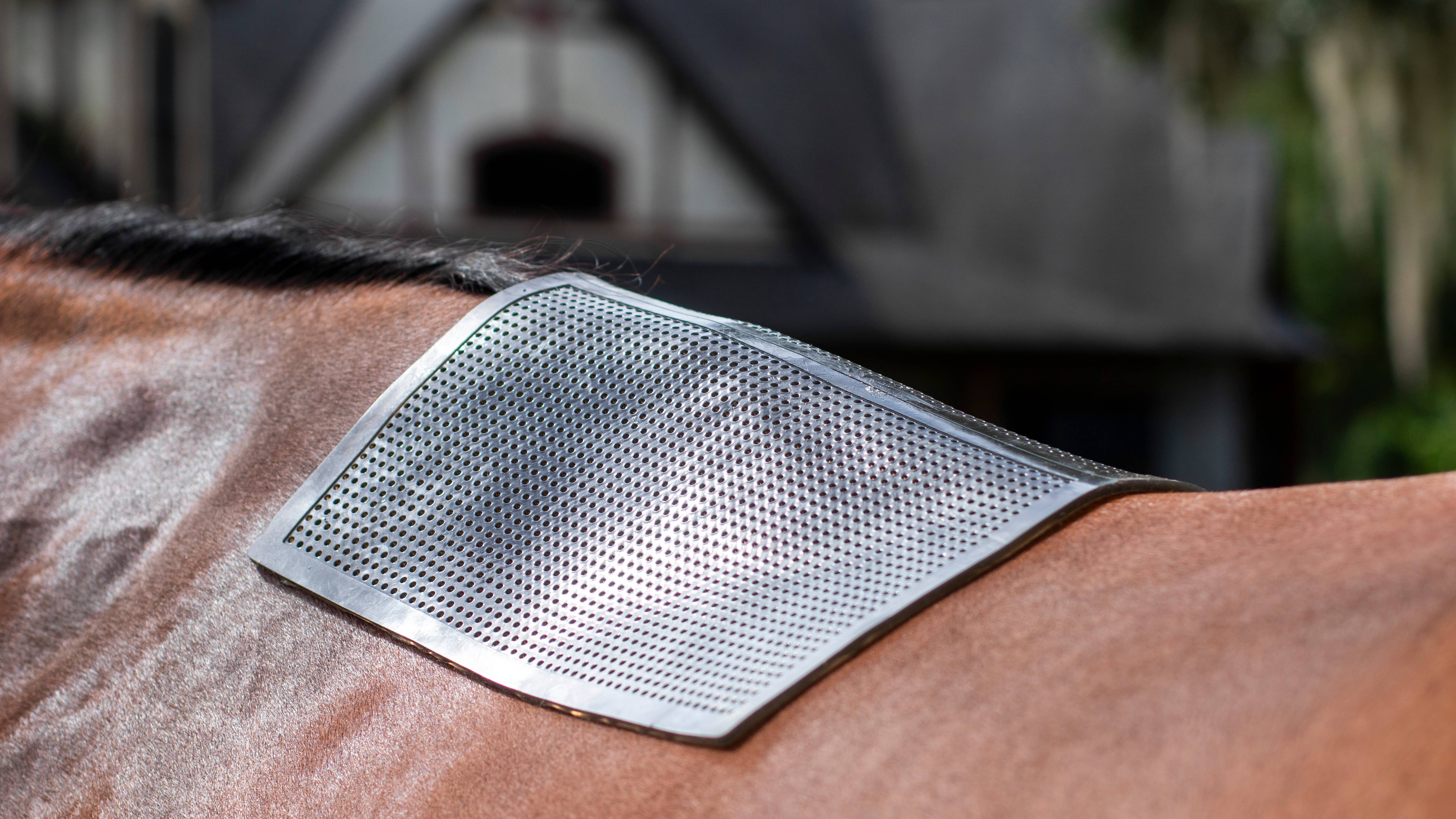 ACE Equestrian - Vendita all'ingrosso Attrezzatura da equitazione - PRO4MANCE | Sottosella antiscivolo (nero)5