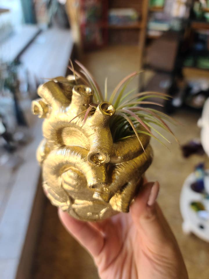Anatomisch hart betonplanter of vaartuig | Air Plant pot voor wholesale door Geoform Designs