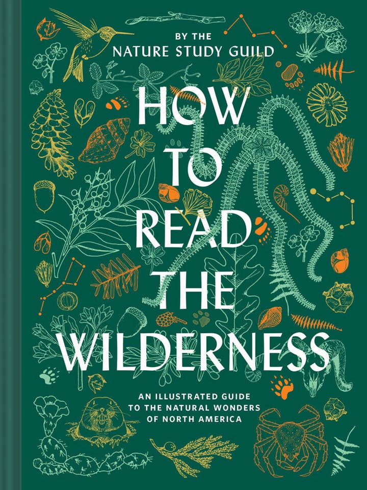 How to Read the Wilderness for wholesale by Chronicle Books