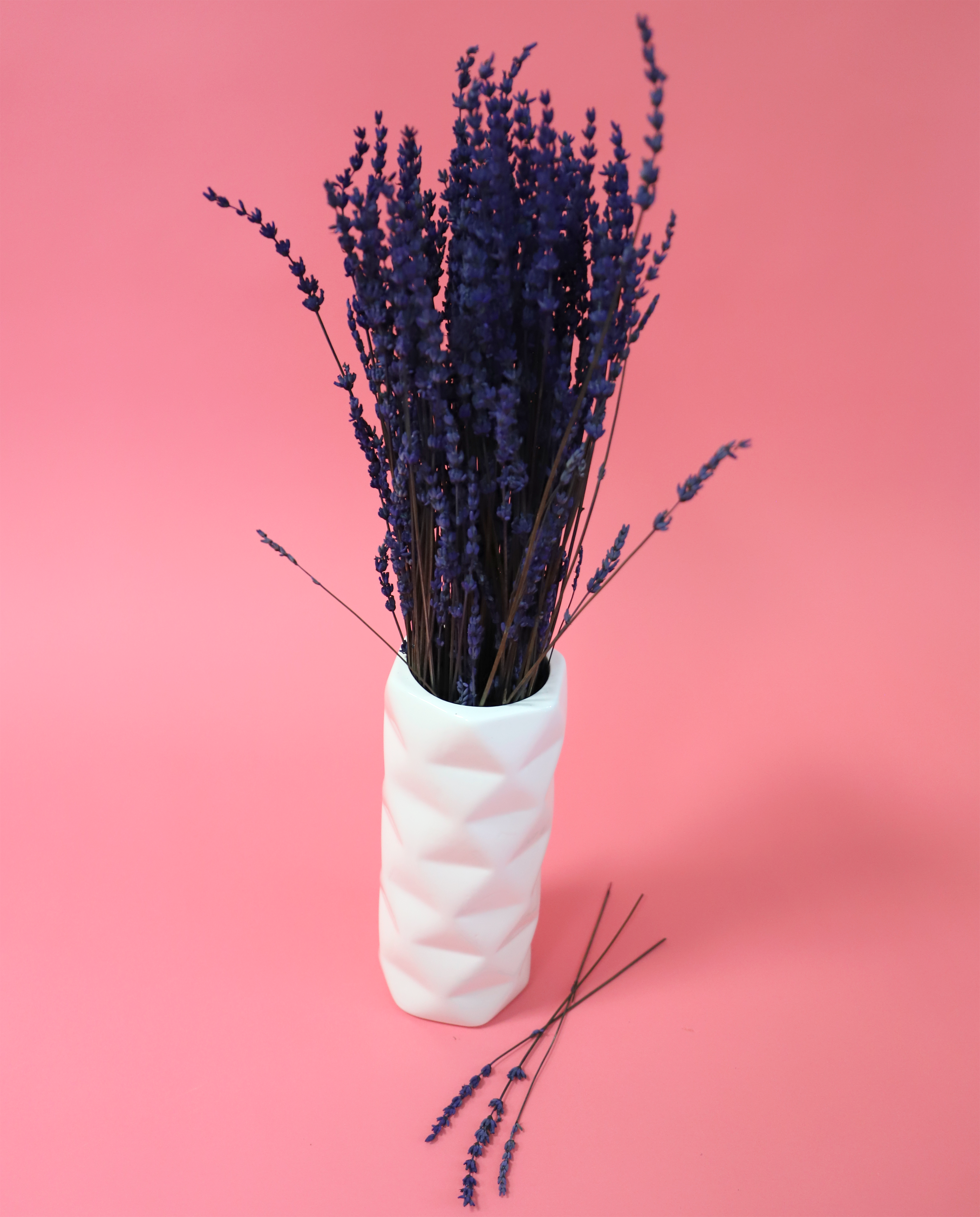Kunstharz.Art – Flores secas/prensadas por atacado – Lavanda Seca com Aroma Simpático para Decoração e como Presente11