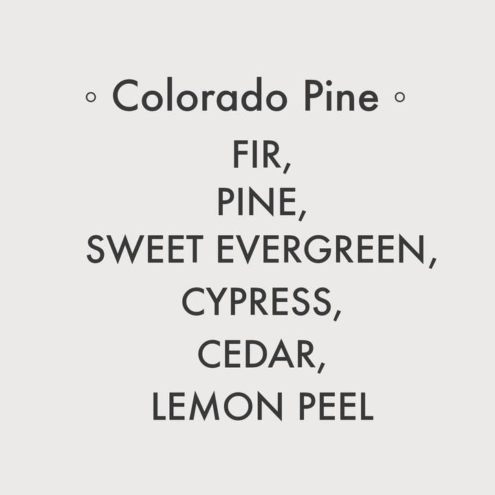 Splash N Go Farm - Wholesale Jar/Filled Candle - Colorado Pine - 8 oz Soy Candle1