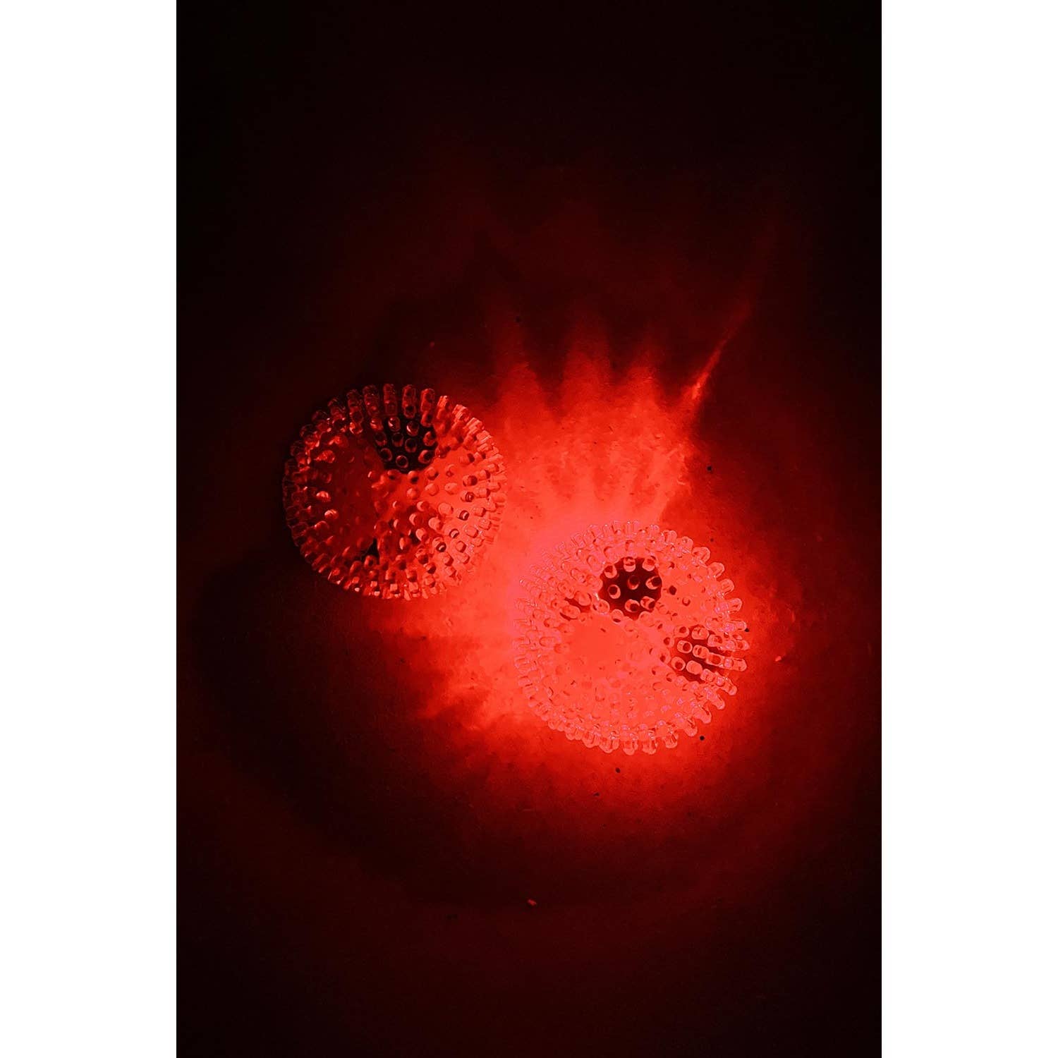 ASSORTED ANTI-STRESS MESH SQUISHY BALL WITH LIGHT for wholesale on Faire4