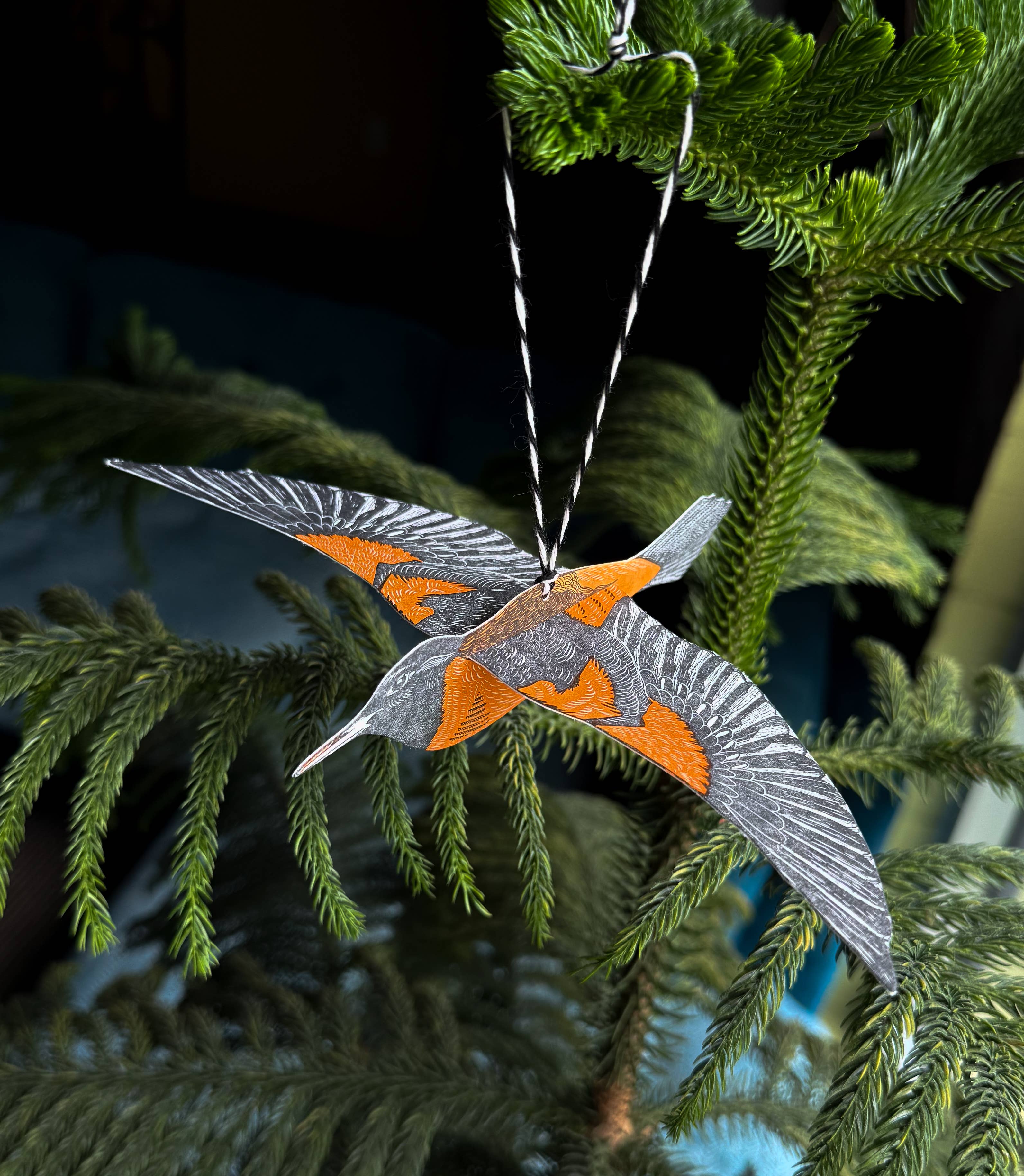 Blackbird Letterpress – wholesale Everyday greeting card – oriole pop-out bird card6