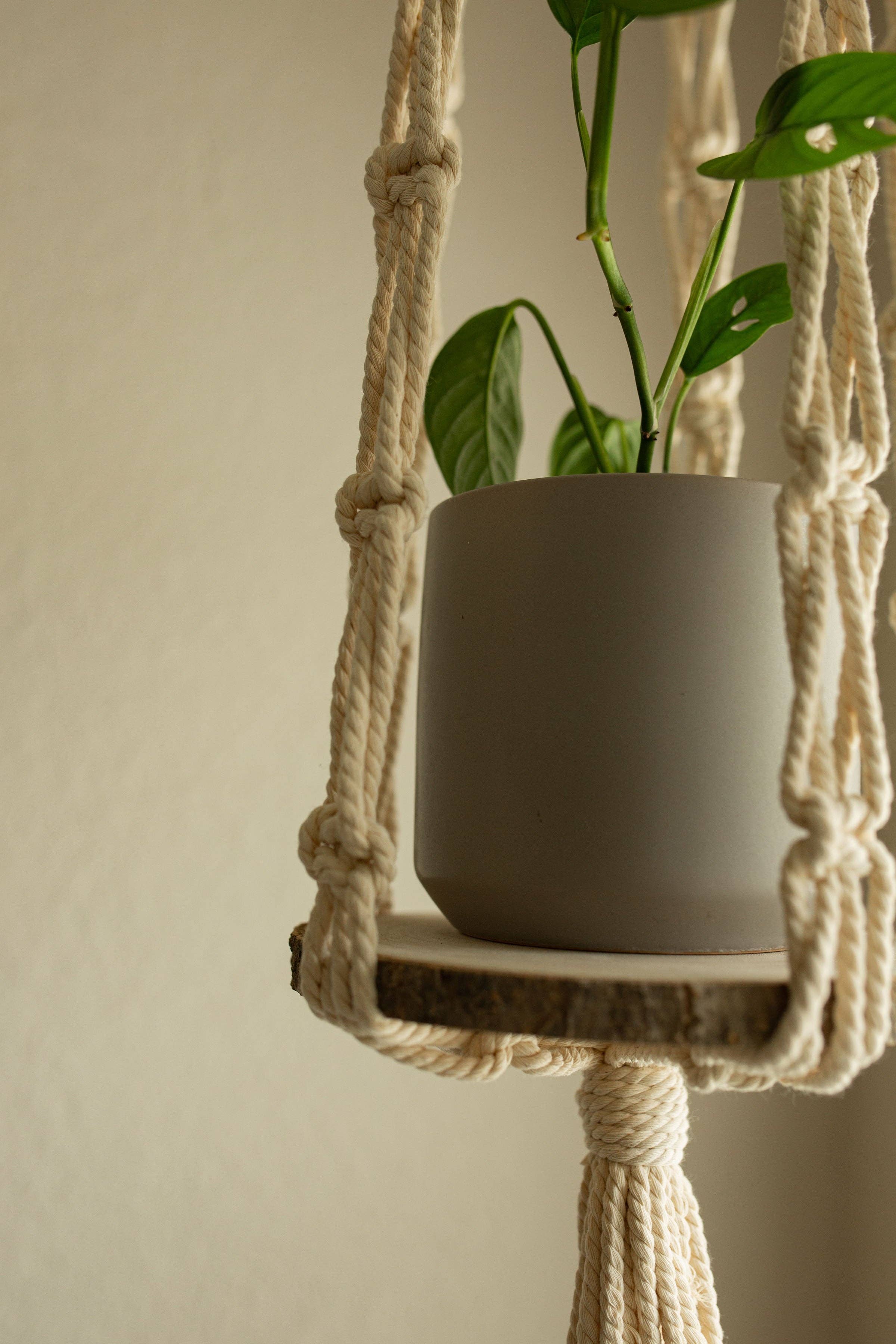 Macra Madam - Wholesale Hanging Planter - “Hera” Short Plant Hanger1