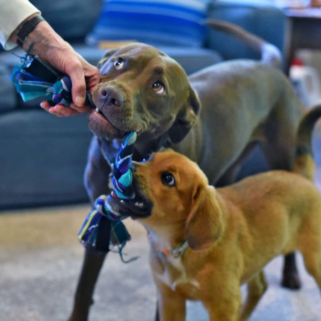 Mayamam Weavers - Wholesale Pet Rope Toy - Dog - Braided Zero Waste Dog Tug Toy2