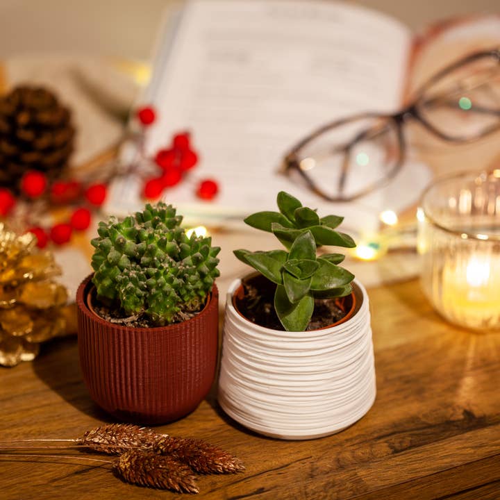 Studio No.16 – wholesale Plant pot – Ripple - 3D Printed Plant Pot