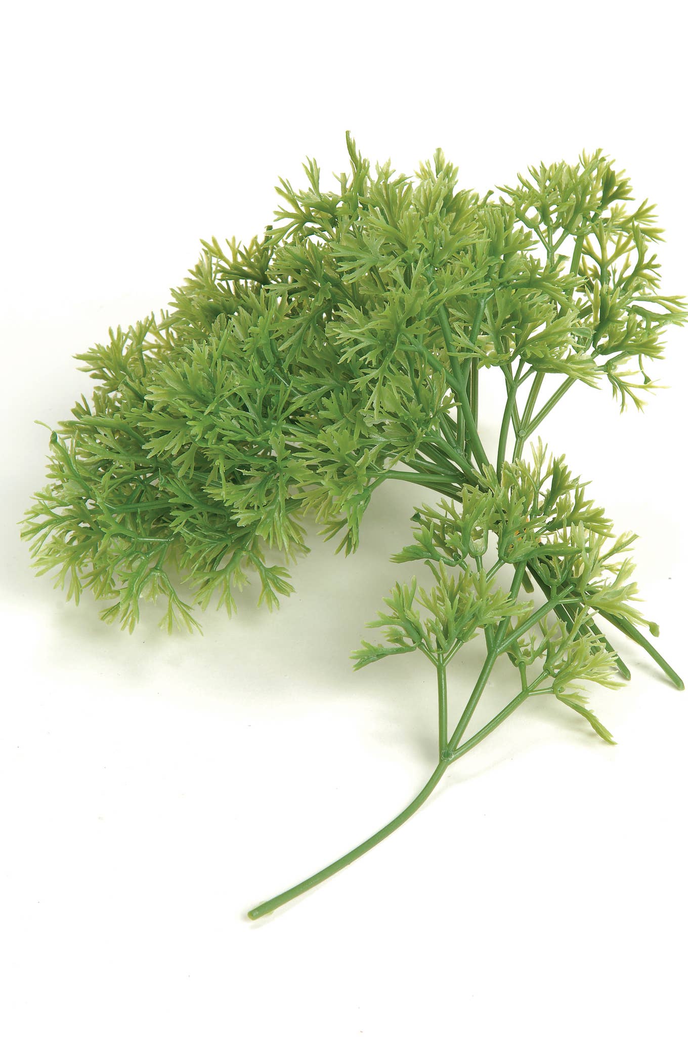 Studio Specialties - Wholesale Artificial Plant - PICK PARSLEY (12)