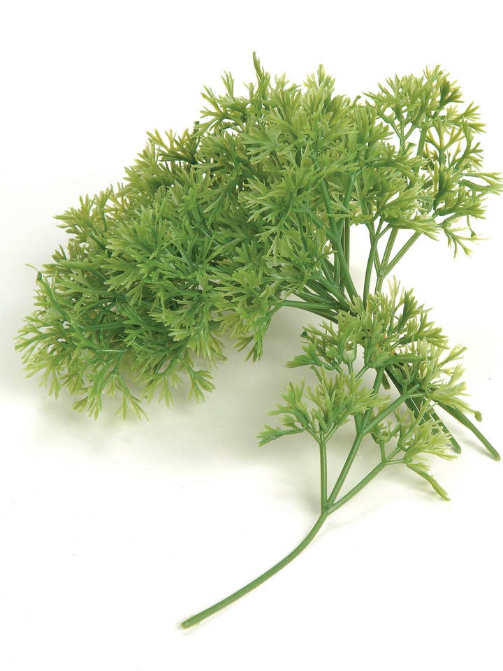 PICK PARSLEY (12) for wholesale by Studio Specialties