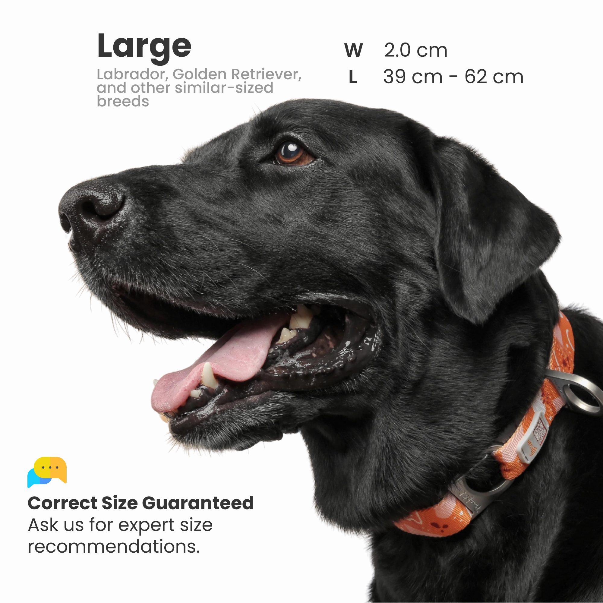 Pawnec - Wholesale Pet Collar - Cat/Dog - NeoCollar "Glow n' Go"8