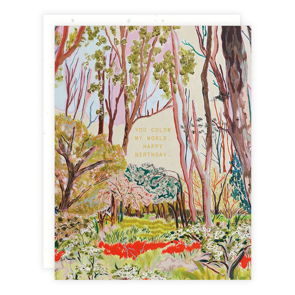 Someday Studio – postal de parabéns por atacado – Colorir meu mundo0