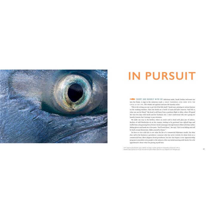 Mountaineers Books - Wholesale Nature & Outdoors - The Salmon Way1