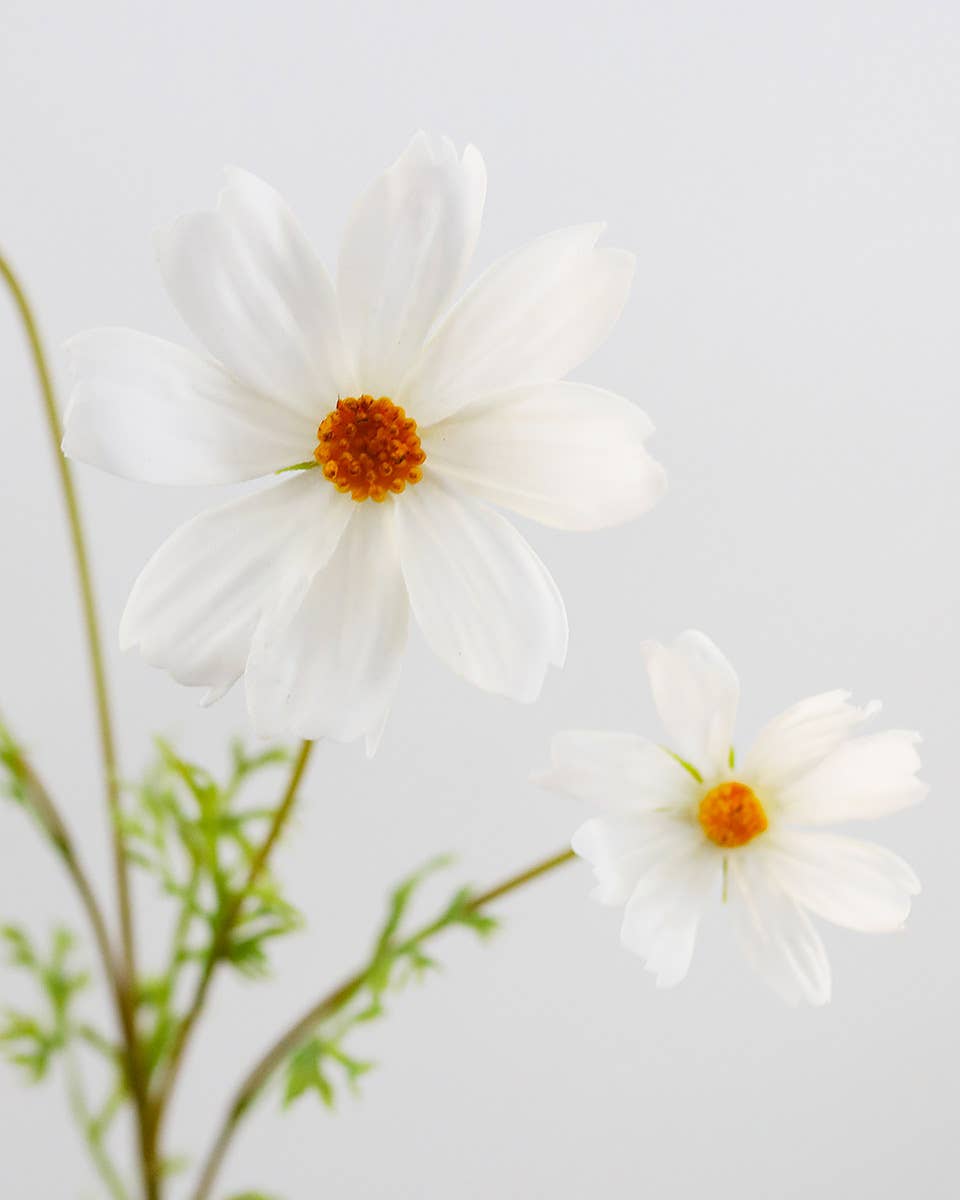 Prestige Botanicals - Wholesale Artificial Flowers - Real Touch White Cosmos 29”2