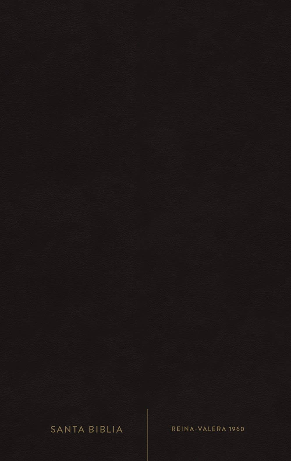 HarperCollins Christian Publishing - Wholesale Religion - RVR60, Santa Biblia, Premio y Regalo, Letra grande, Tapa dur3