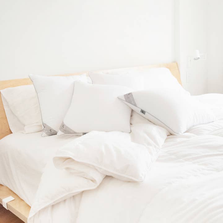 Monday Moose - Wholesale Pillow Insert - Delirio Pillow Inserts (4-Pack)3