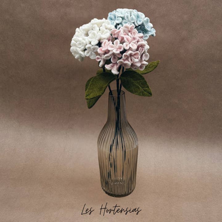 Lot de 6 Hortensias - New Heidi pour la vente par New Heidi