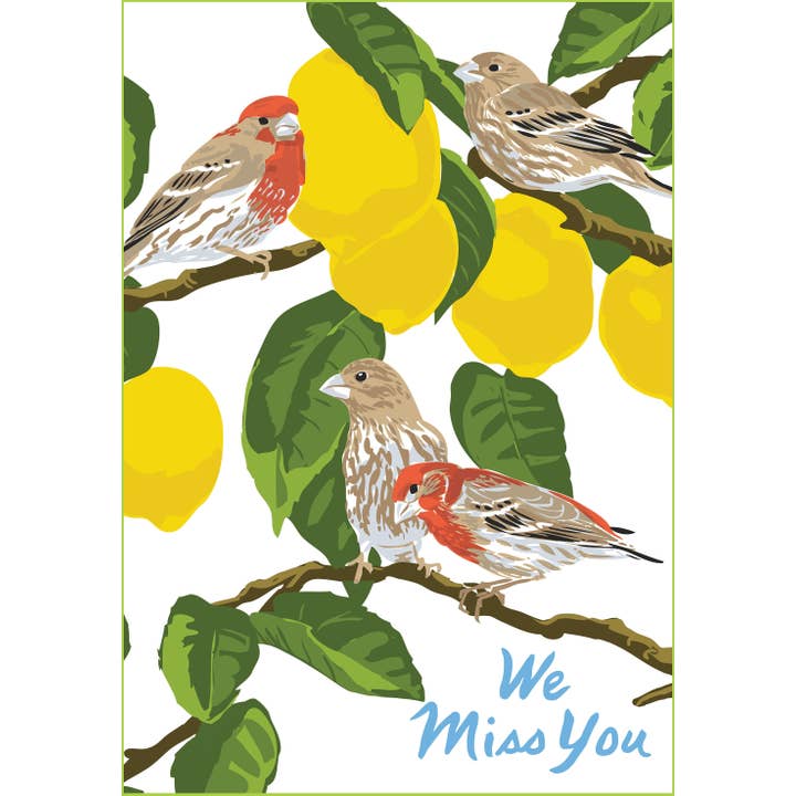 RMY-224 House Finches & Lemons - We Miss You Magnet for wholesale by Rigel Paper