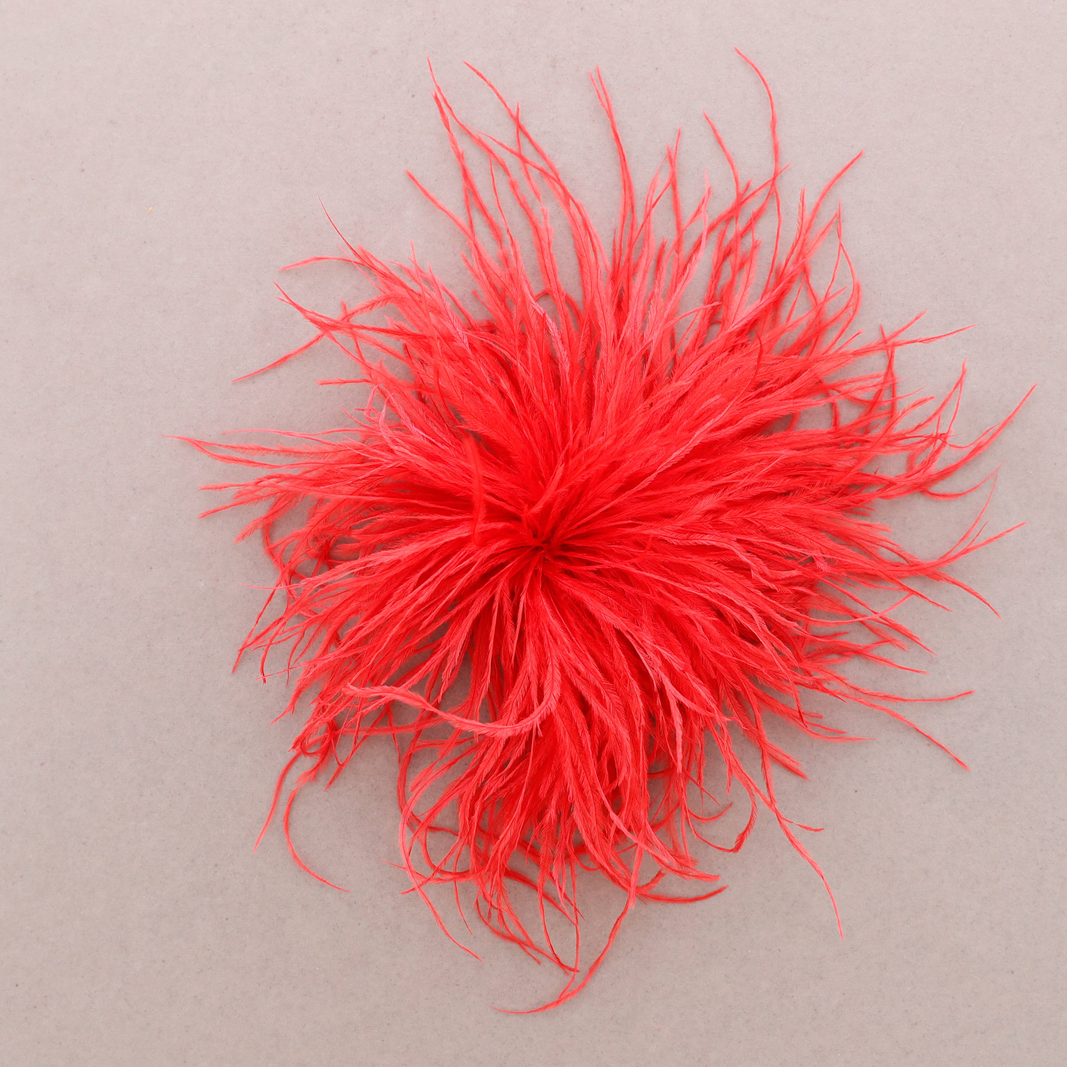 Sonata – wholesale Snap jewellery – Feather Brooch 10-15cm (B)3