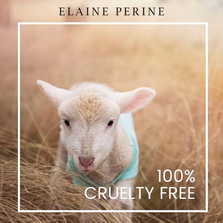 ELAINE PERINE - Wholesale Body Cream/Lotion - SHAPE ME! slimming gel3