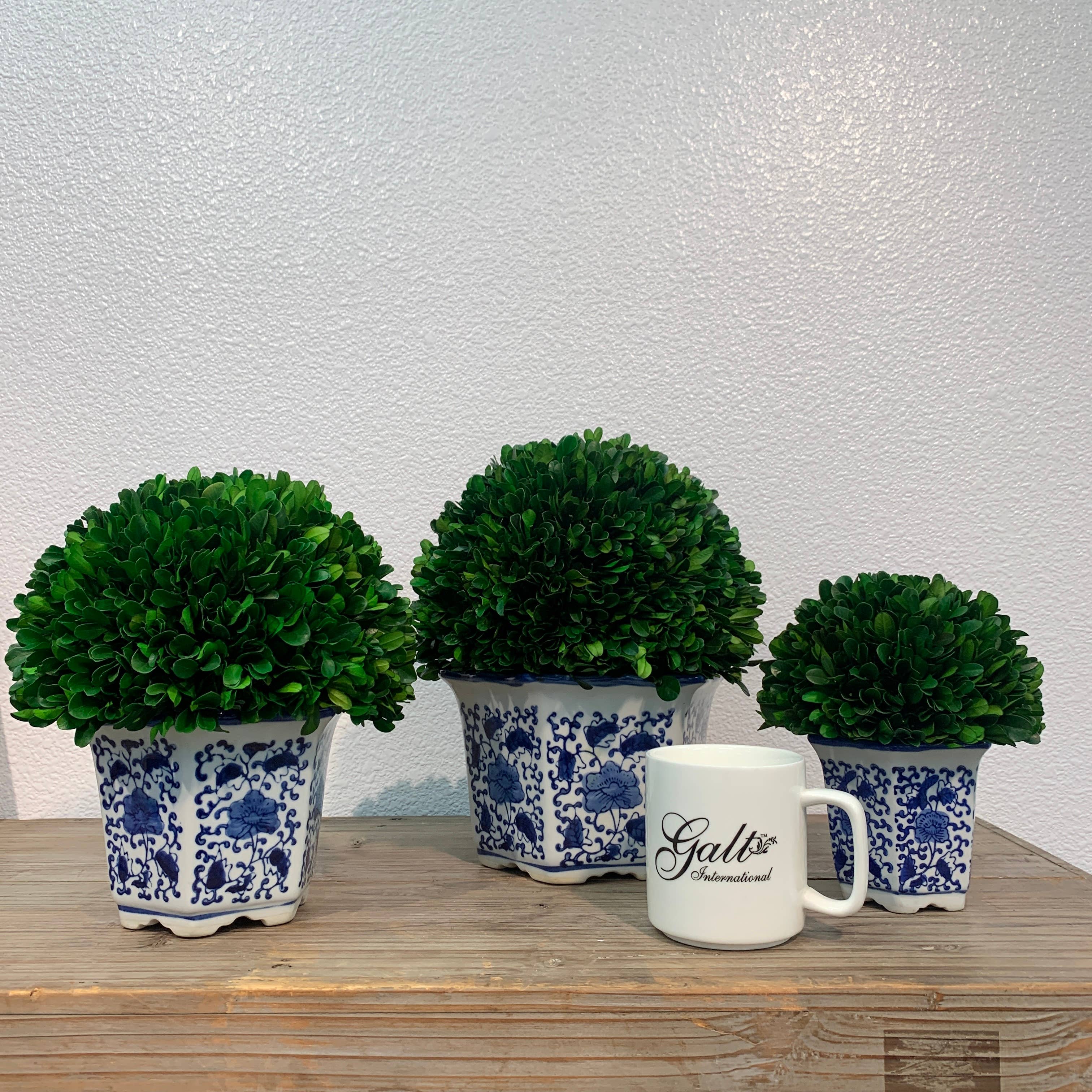 Galt International Company - Wholesale Artificial Plant - Boxwood Ball Topiary in Hexagon Blue & White Ceramic Pot10
