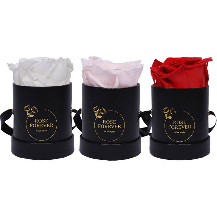 Rose Forever – wholesale Dried/pressed flowers – Mixed Roses Mini Dome Box – Luxury Flowers