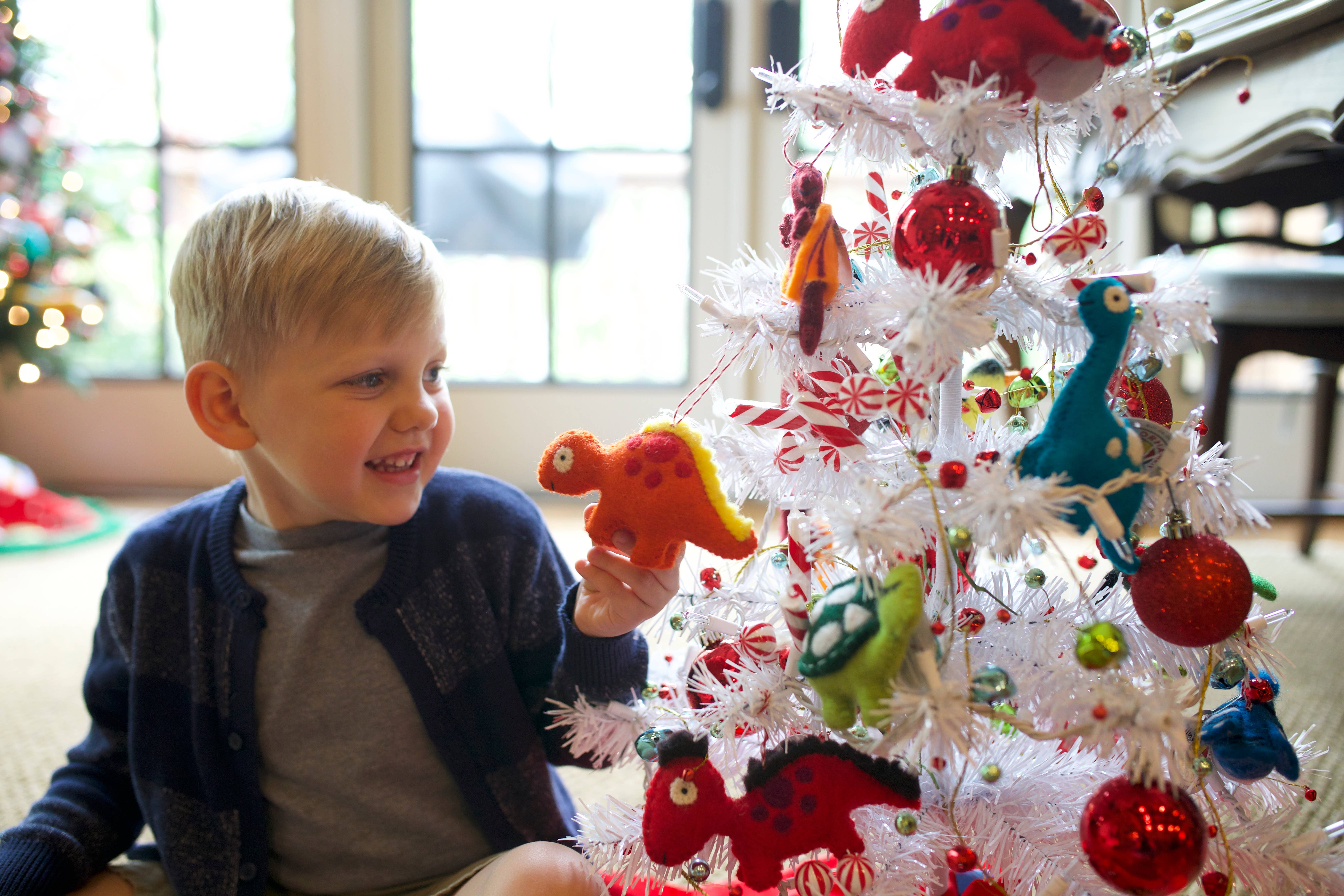 Ornaments 4 Orphans - Wholesale Ornament - Spinosaurus Felt Wool Dinosaur Christmas Ornament3