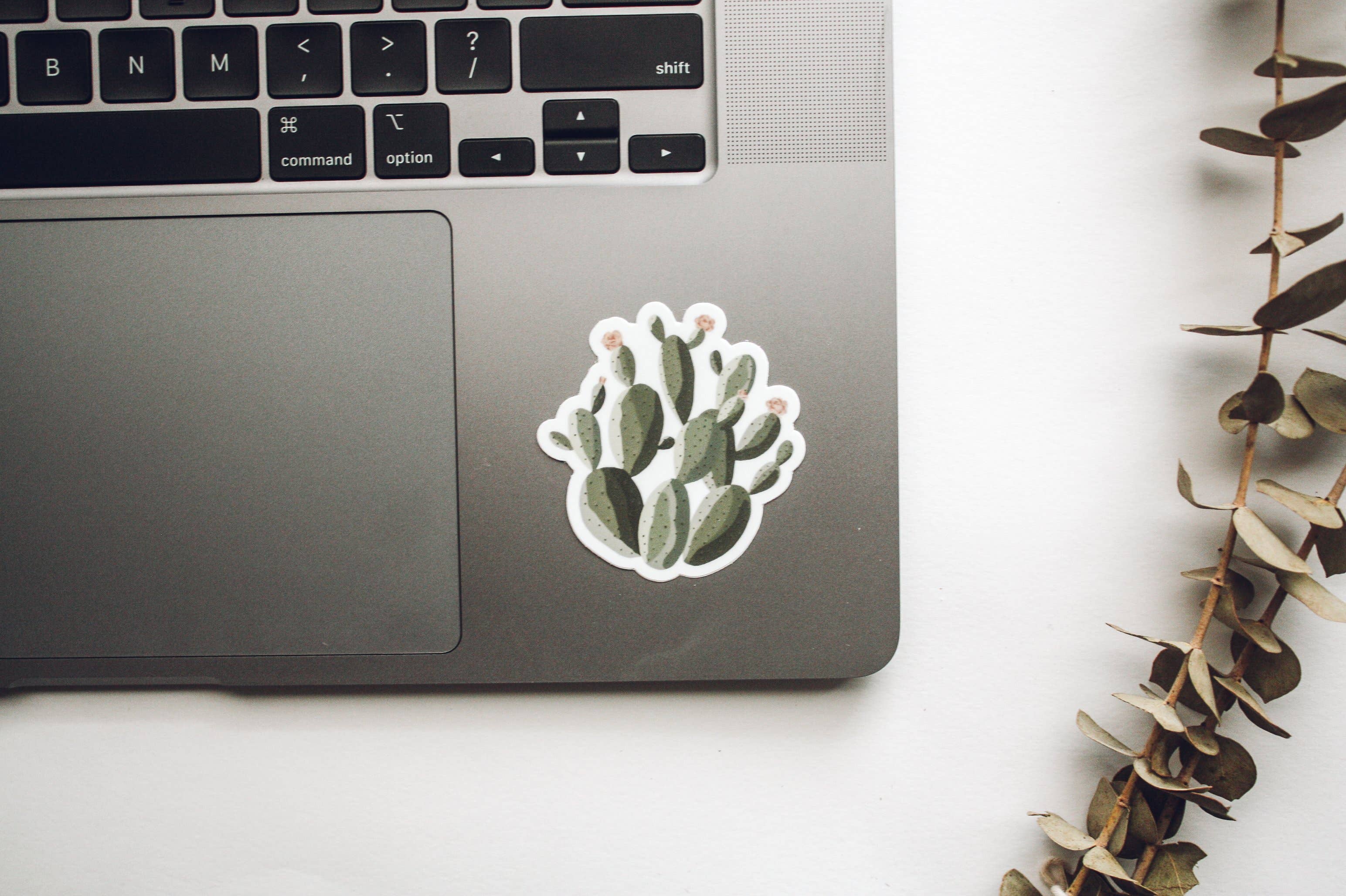Jess' Paper Co. - Wholesale Sticker - Prickly Pear Cactus Sticker4