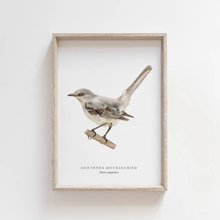 Feed & Dwell - Venta al por mayor Ilustración - Impresión en acuarela del ruiseñor nórdico | Arte de pared de pájaros