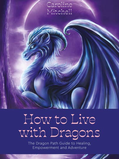 The Dragon Path Guide To Healing & Empowerment for wholesale by Bradley's Book Clearance