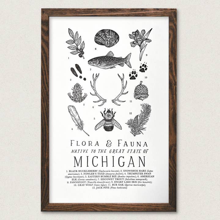 Michigan Field Guide Art Print for wholesale by The Wild Wander