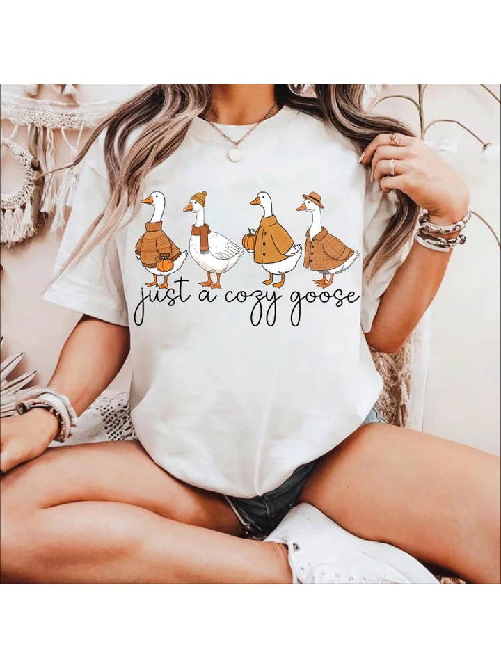 NVC Ecommerce LLC - Wholesale T-Shirt (Graphic) - Women's - Just a Cozy Goose Shirt, Cute Pumpkin and Duck Sweatshirt3