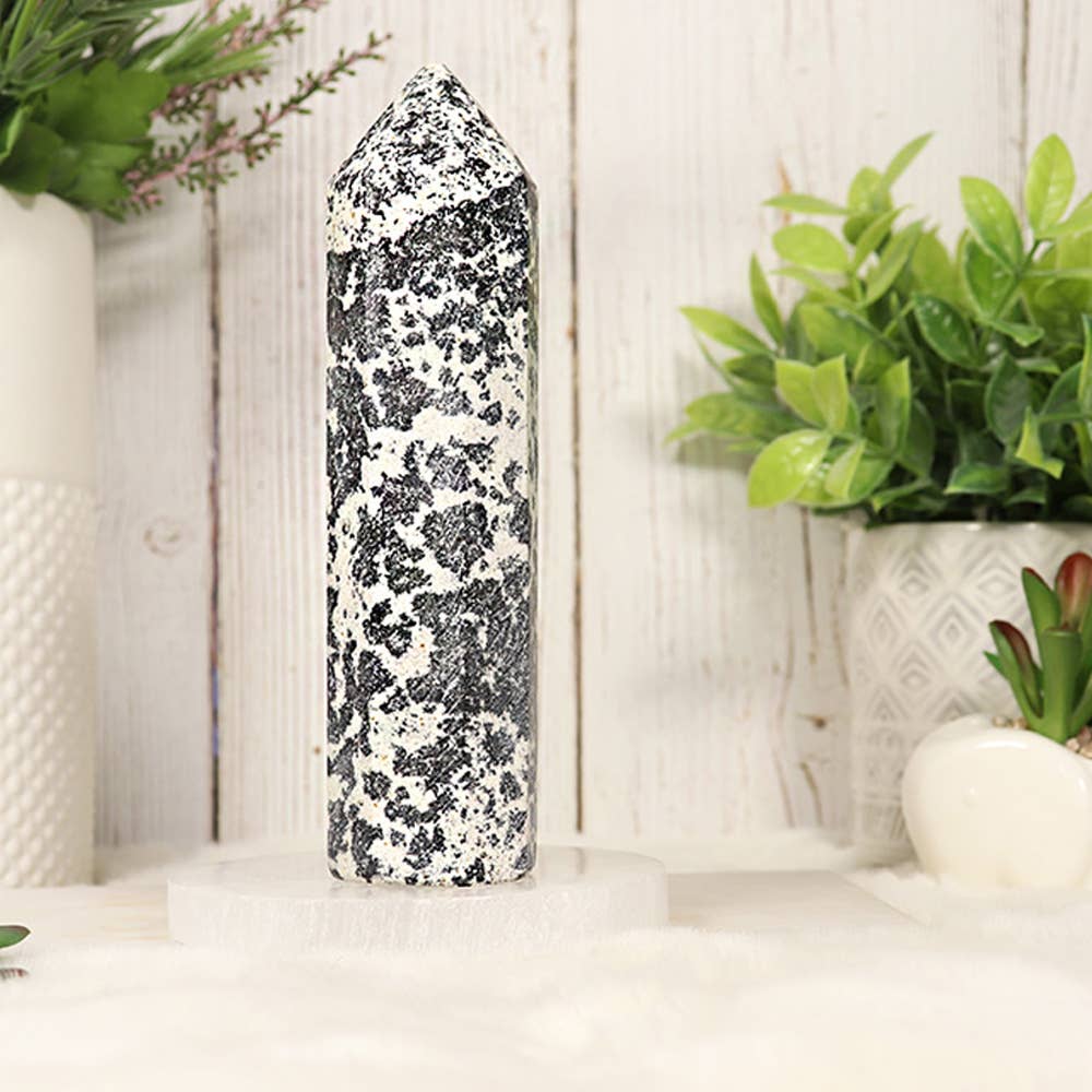 Natures Artifacts Inc - Wholesale Spiritual Stone/Crystal - Dalmatian Round Tip Tower – Dalmatian from Pakistan2