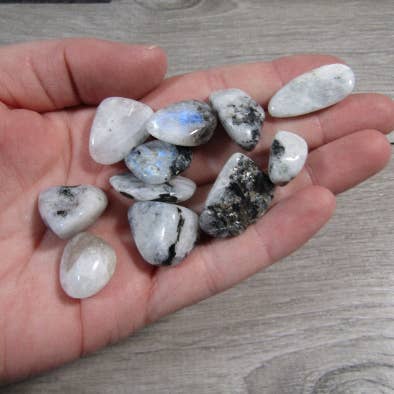 Rainbow Moonstone 3/4" Tumbled 1 LB for wholesale by Keystone Crystals